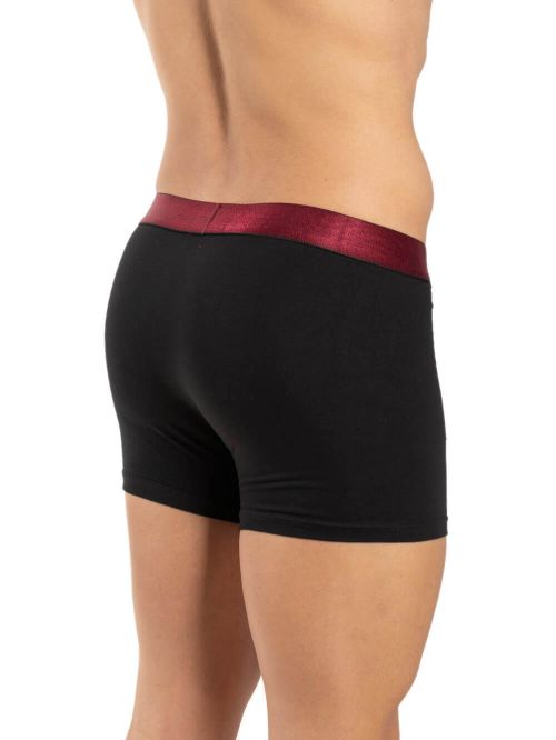 ανδρικά μπόξερ guy laroche 58104 2pcs