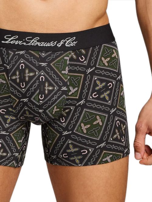 LEVIS Boxer Brief Western AOP - Οργανικό Eco Βαμβάκι - Green Combo - Πακέτο με 2 