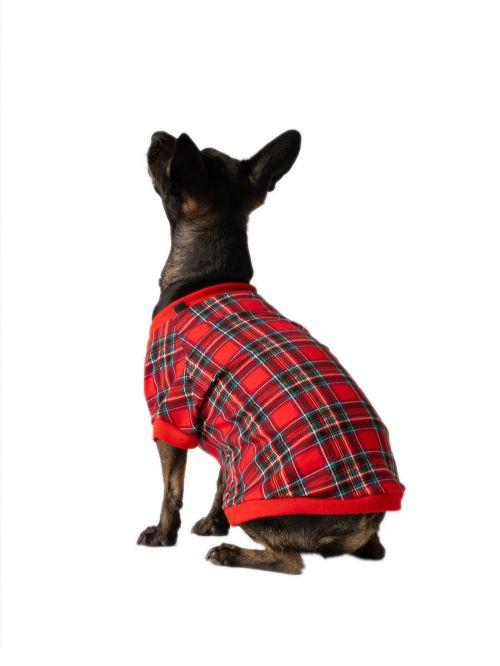 Ρούχο Dogs MINERVA Xmas - 100% Βαμβάκι