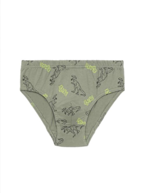 Παιδικό Σλιπ MINERVA για Αγόρι The Beast - 100% Αγνό Βαμβάκι - Πακέτο με 3