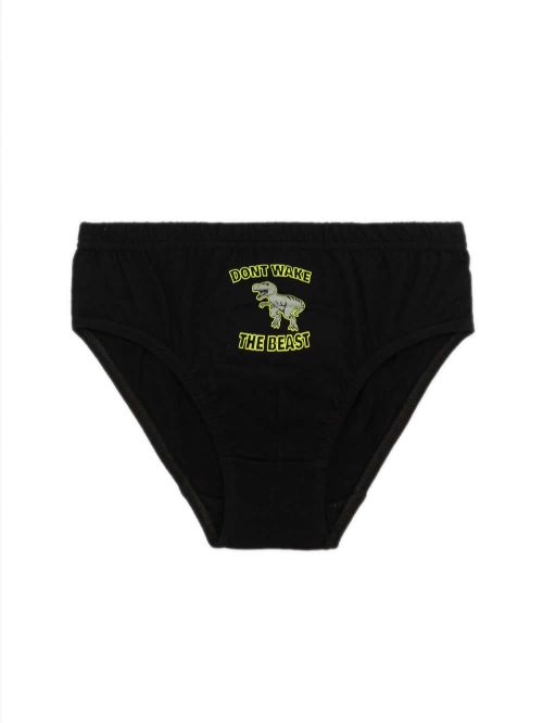 Εφηβικό Σλιπ MINERVA για Αγόρι The Beast - 100% Αγνό Βαμβάκι - Πακέτο με 3