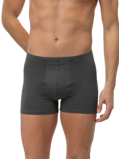 ανδρικό μπόξερ minerva 23075-075 μπροστά