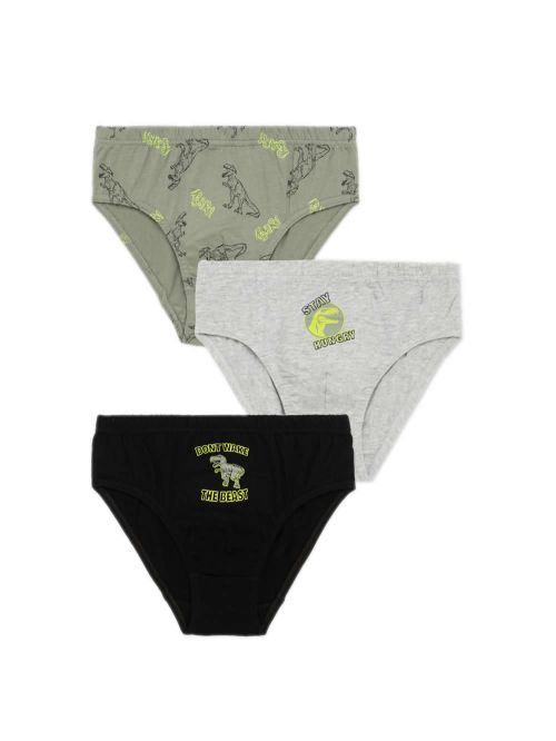 Εφηβικό Σλιπ MINERVA για Αγόρι The Beast - 100% Αγνό Βαμβάκι - Πακέτο με 3