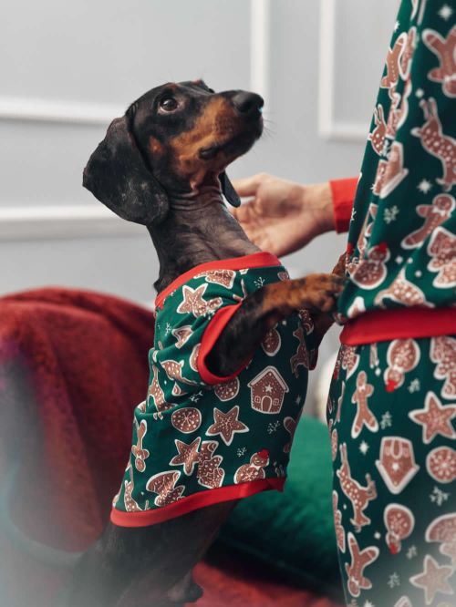 Ρούχο Dogs MINERVA Xmas Biscuit - 100% Βαμβάκι