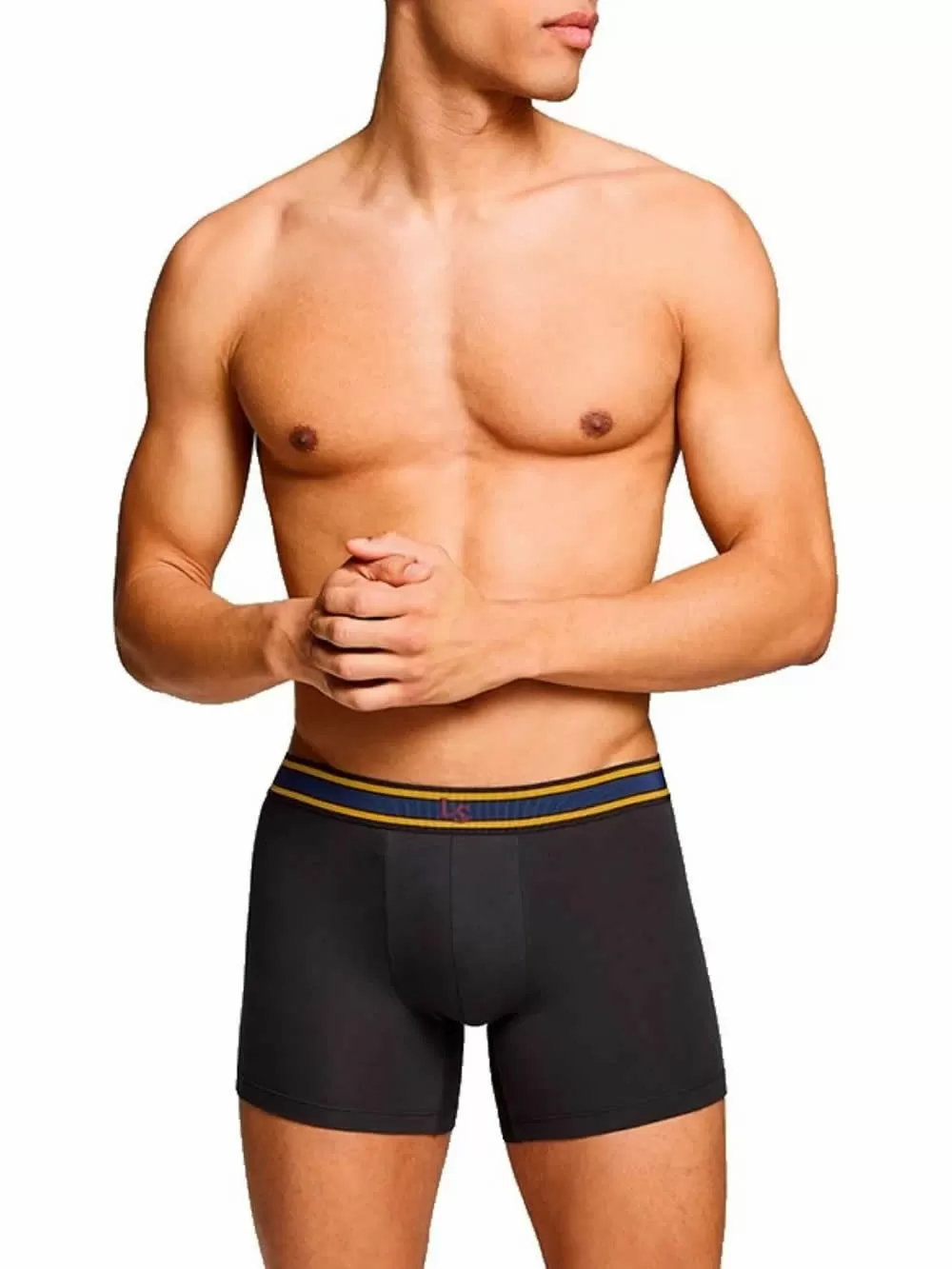 LEVIS Boxer Brief Injected Slub - Οργανικό Eco Βαμβάκι - Black Combo - Πακέτο με 2 