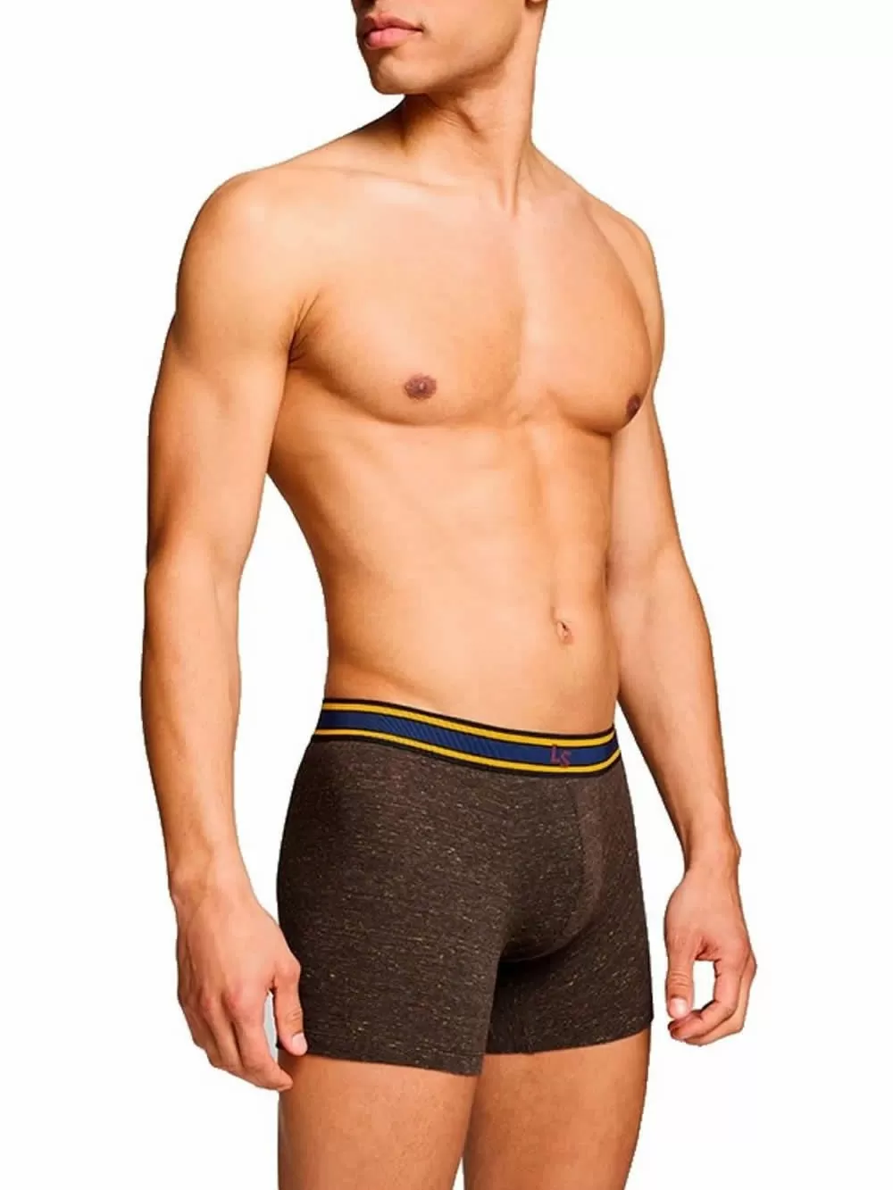 LEVIS Boxer Brief Injected Slub - Οργανικό Eco Βαμβάκι - Black Combo - Πακέτο με 2 