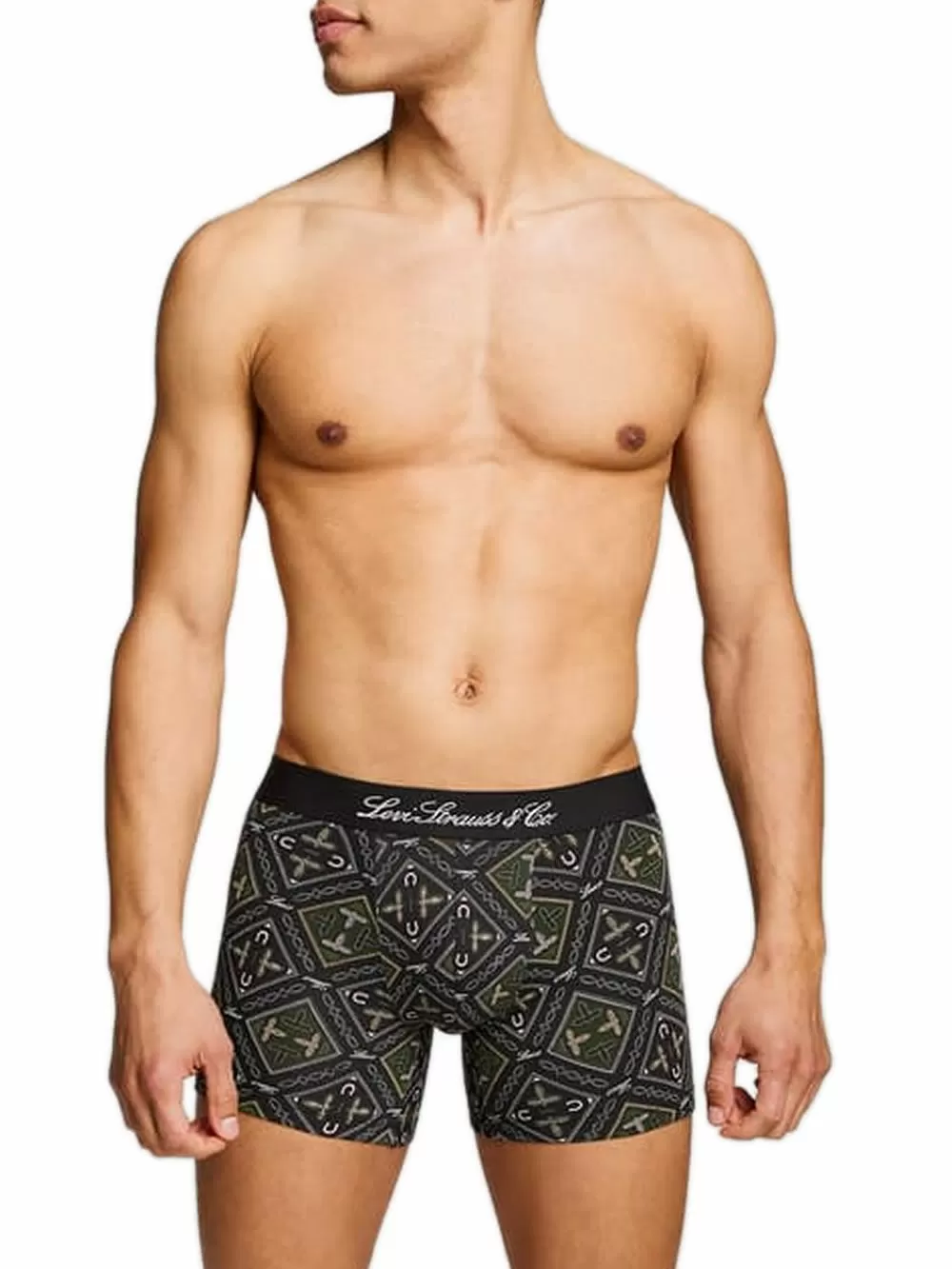 LEVIS Boxer Brief Western AOP - Οργανικό Eco Βαμβάκι - Green Combo - Πακέτο με 2 
