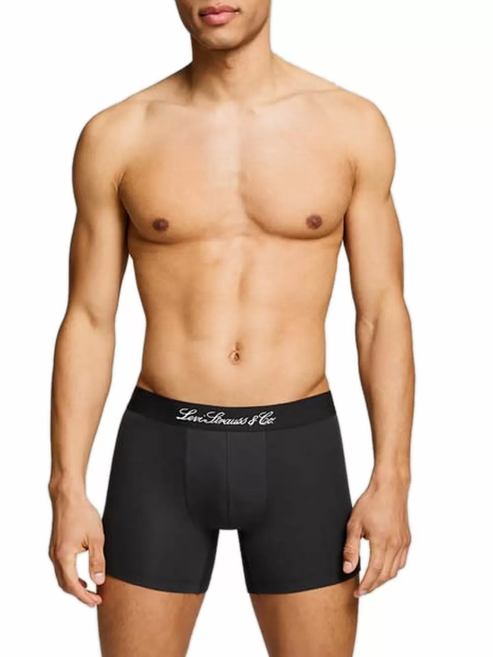 LEVIS Boxer Brief Western AOP - Οργανικό Eco Βαμβάκι - Green Combo - Πακέτο με 2 