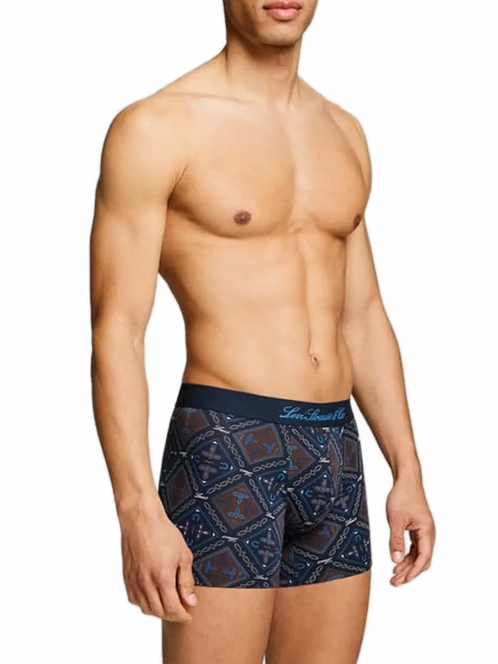 LEVIS Boxer Brief Western AOP - Οργανικό Eco Βαμβάκι - Blue Combo - Πακέτο με 2 