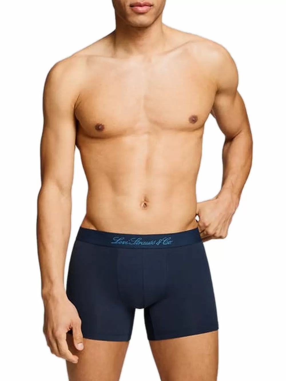 LEVIS Boxer Brief Western AOP - Οργανικό Eco Βαμβάκι - Blue Combo - Πακέτο με 2 