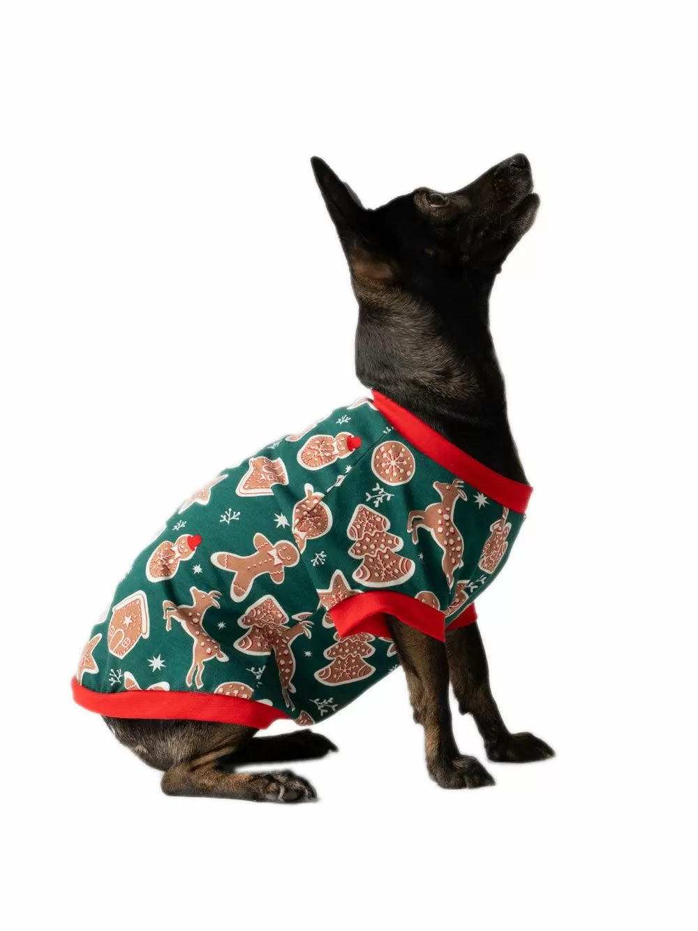 Ρούχο Dogs MINERVA Xmas Biscuit - 100% Βαμβάκι