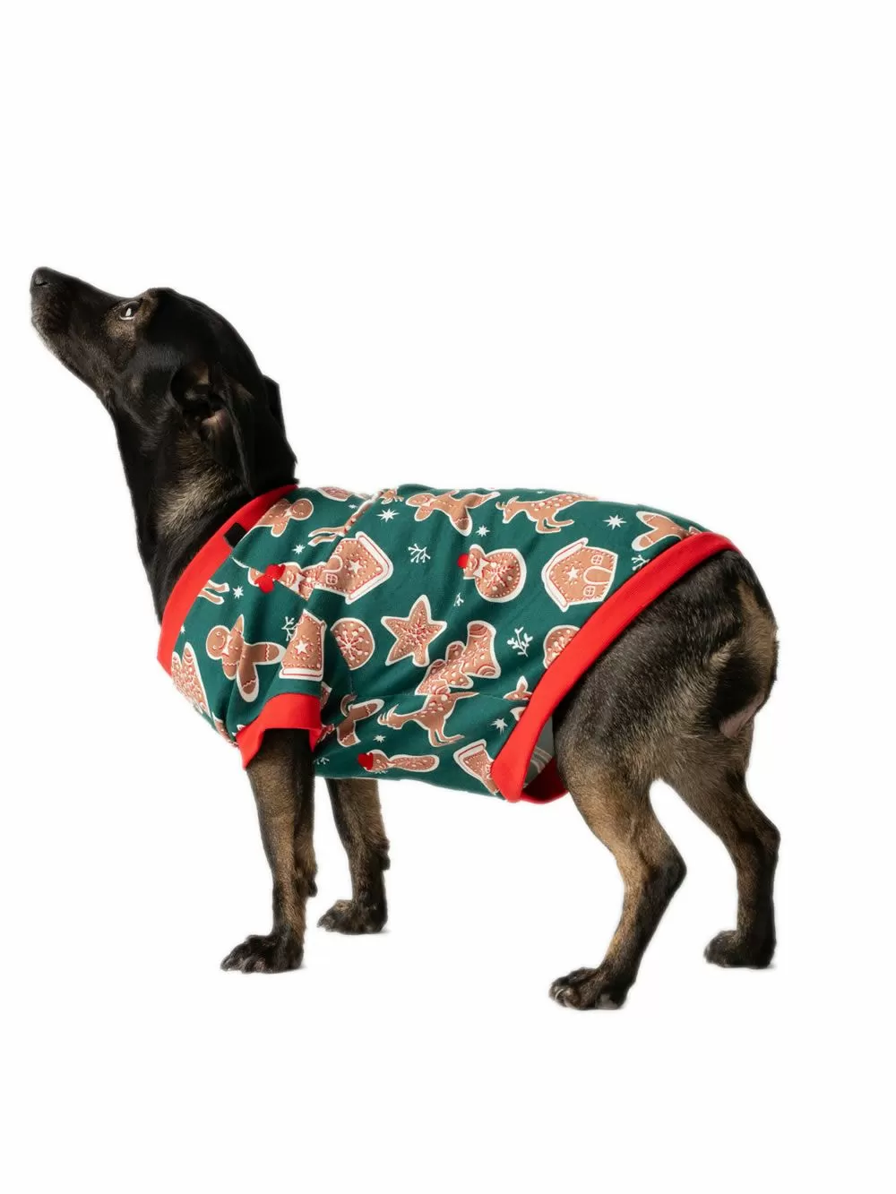 Ρούχο Dogs MINERVA Xmas Biscuit - 100% Βαμβάκι