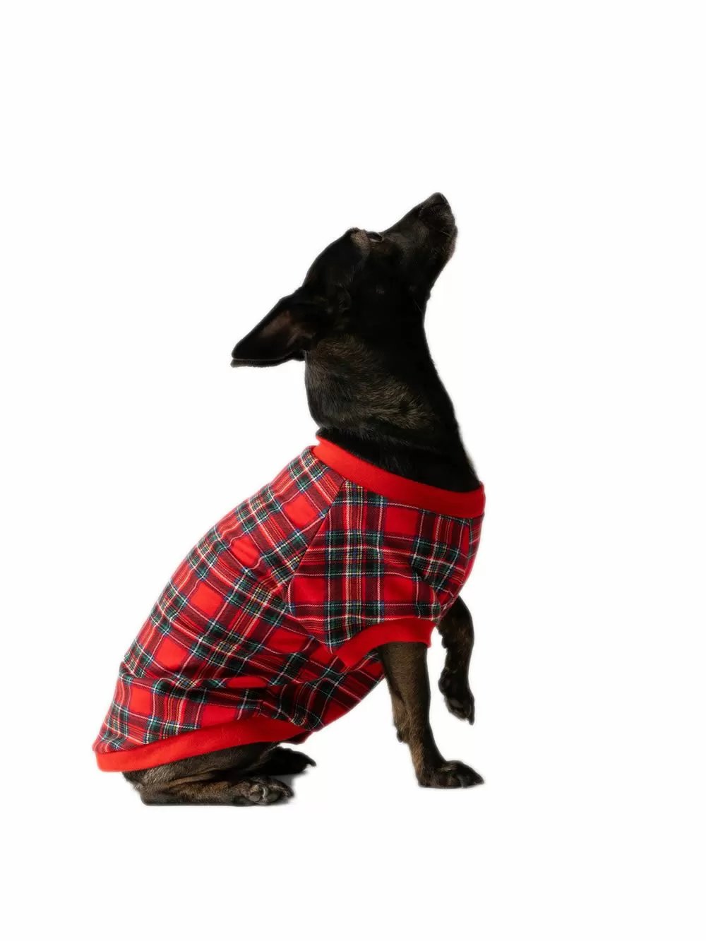 Ρούχο Dogs MINERVA Xmas - 100% Βαμβάκι