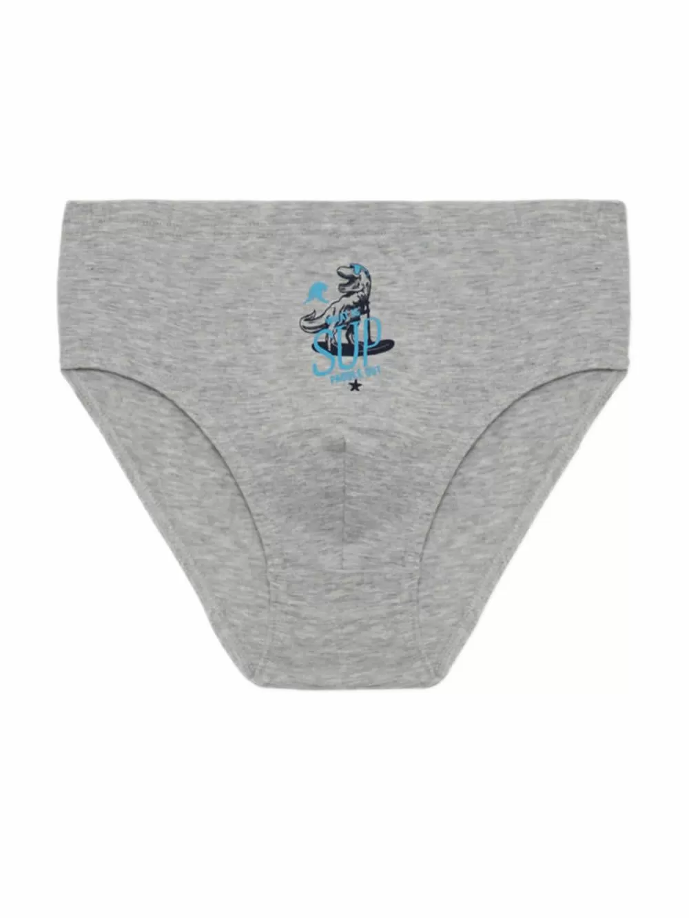 Εφηβικό Σλιπ MINERVA για Αγόρι Dino - 100% Αγνό Βαμβάκι - Πακέτο με 3